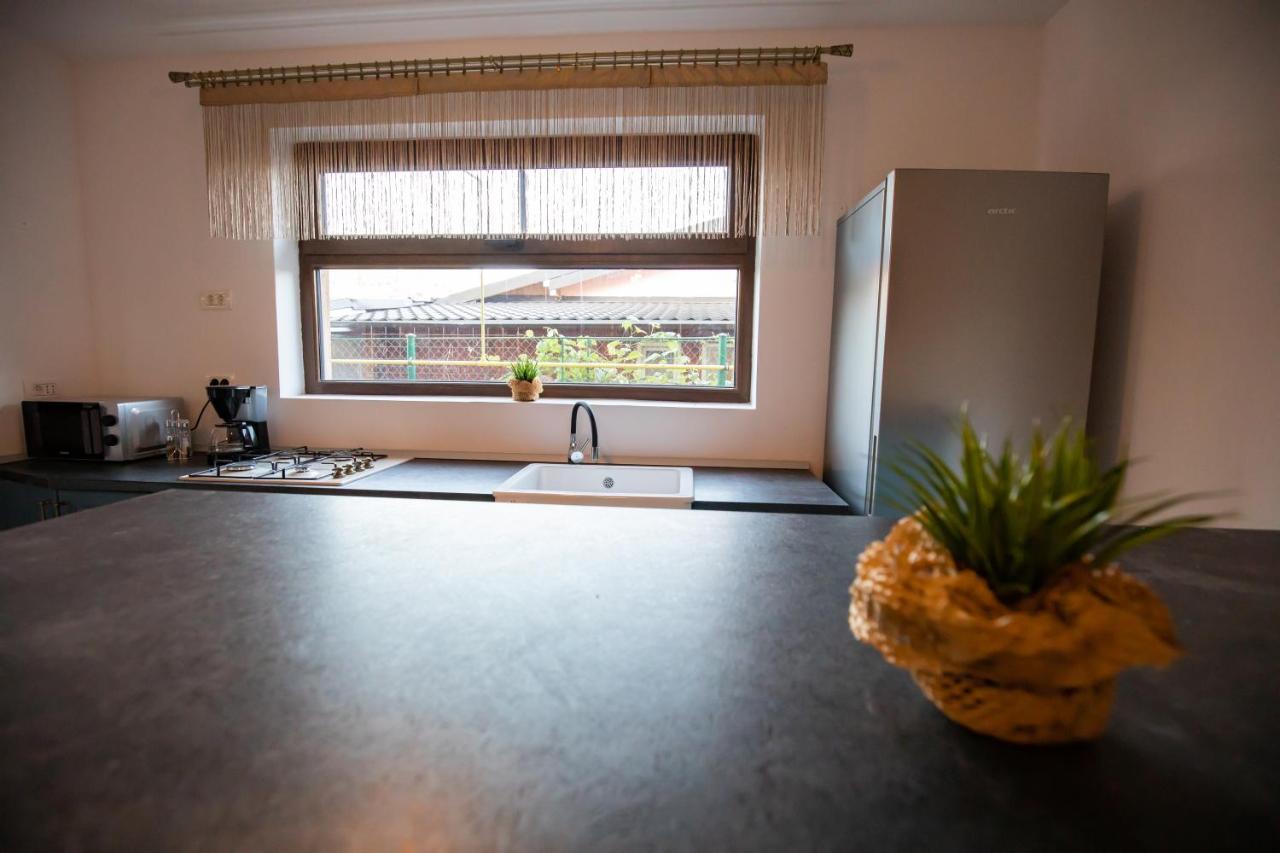 Dania&Petru Residence Tîrgu Ocna Zewnętrze zdjęcie