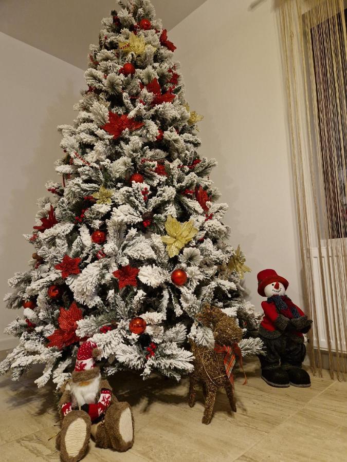 Dania&Petru Residence Tîrgu Ocna Zewnętrze zdjęcie
